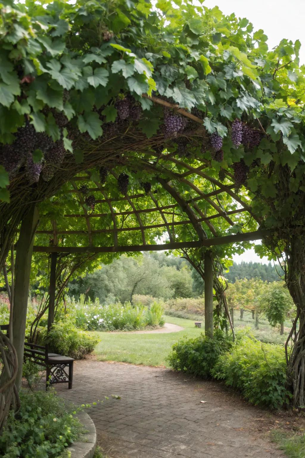 A round shelter offers a serene, private garden escape.