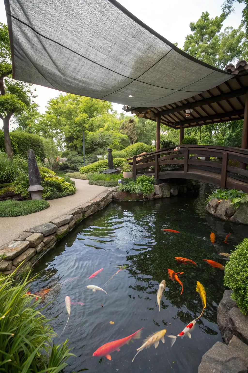 A koi pond with a handmade tarp offering economical cover.