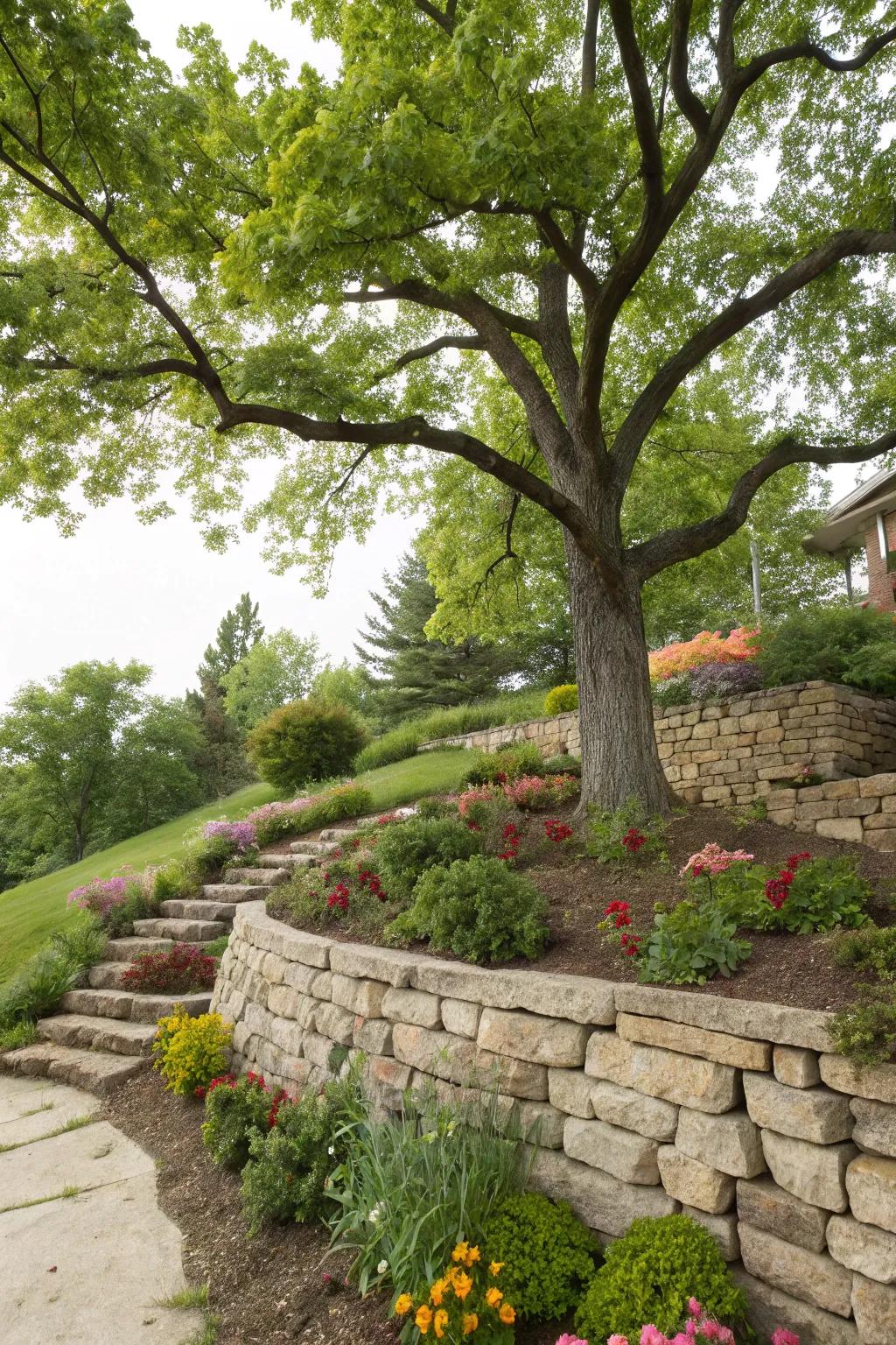 Support structures contribute framework and inhibit erosion near trees.