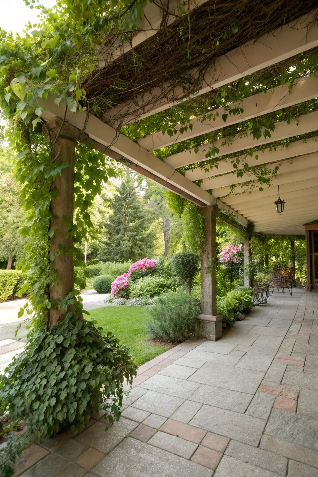 Botanical integration enriches patio covers with natural charm.