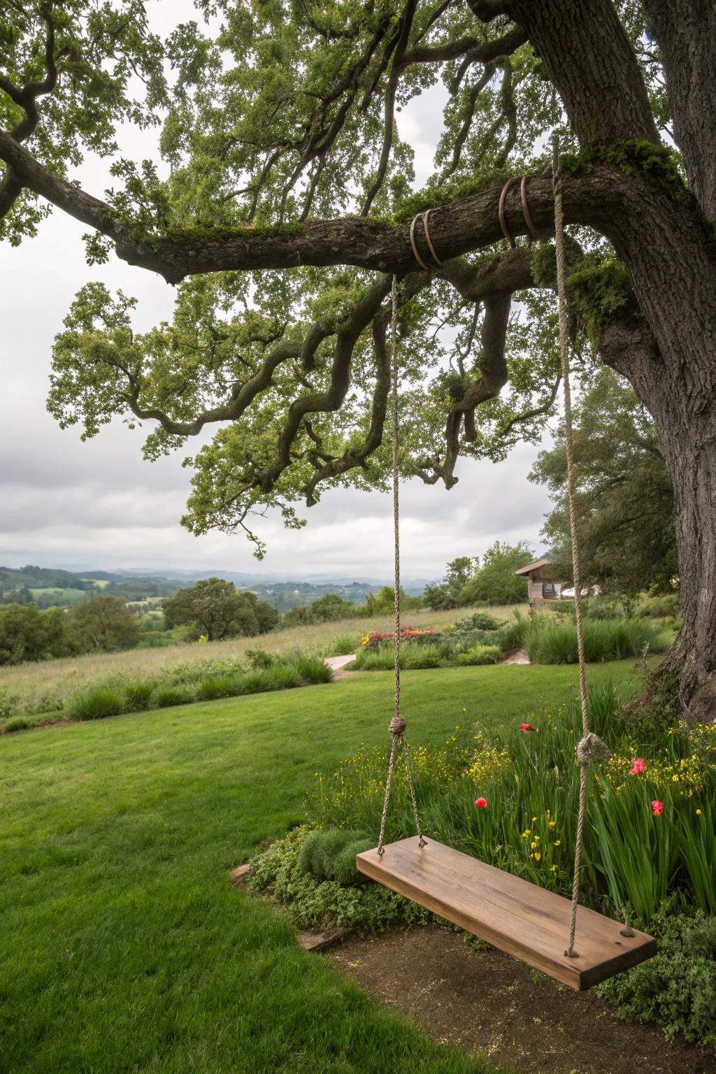 An arboreal swing becomes the heart of yard adventures.